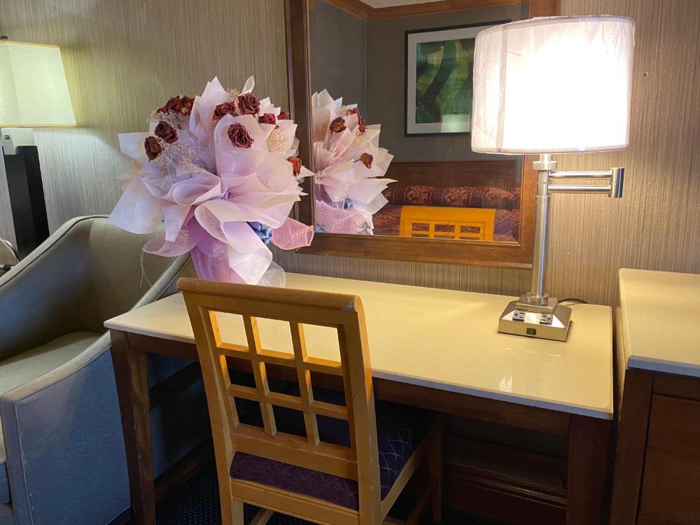 Deluxe Double Room interior